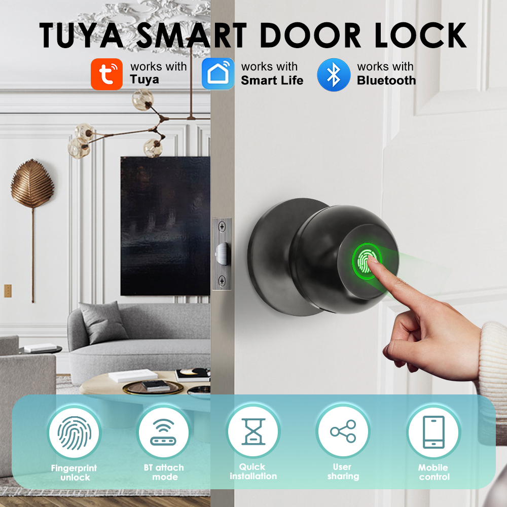 Smart Home Website - Cerradura electrónica Tuya, cerradura de puerta