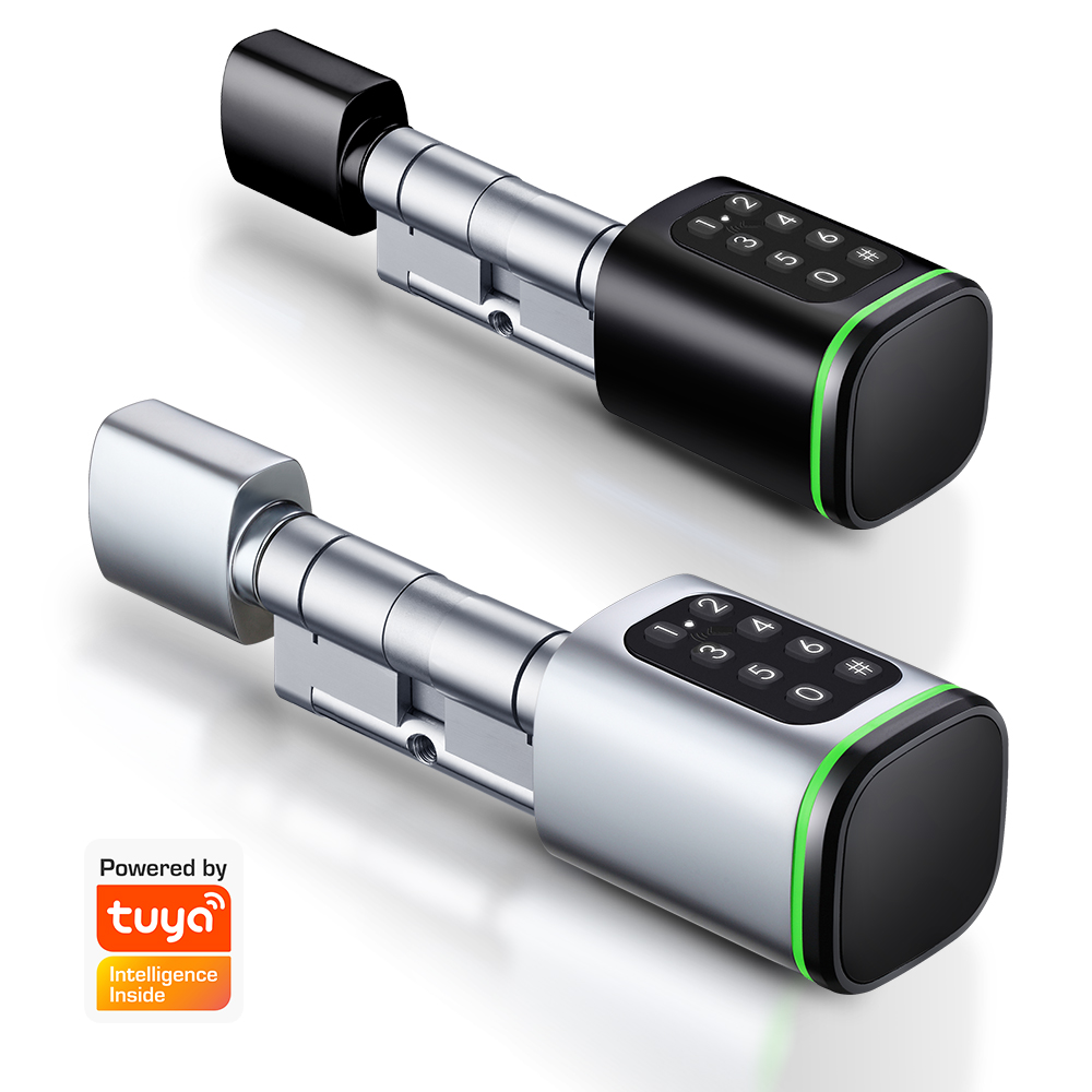 Smart Home Website - Cerradura de cilindro inteligente Tuya, 60-90mm,