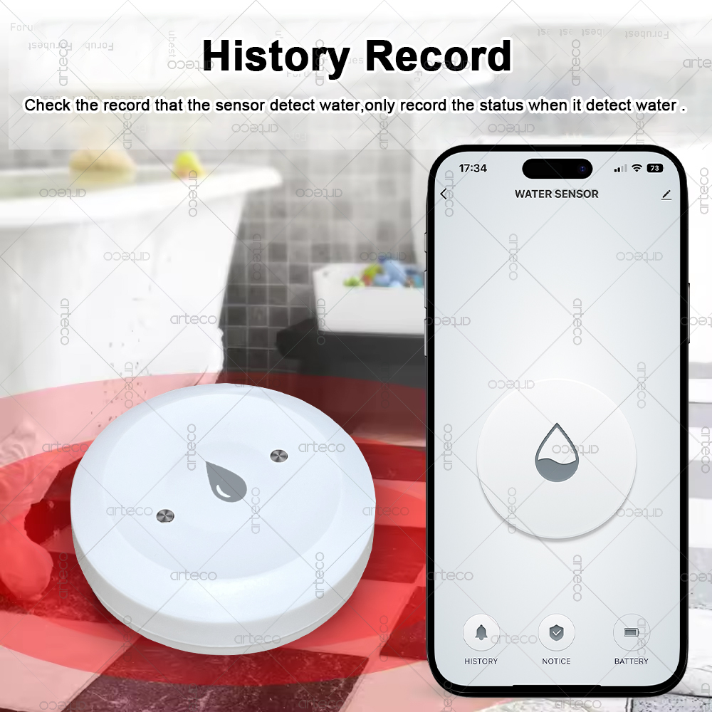 Tuya-Sensor de agua inteligent - Smart Home Website reseña y precio