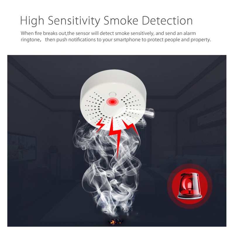 Detector de Humo Inteligente W - Smart Smoke Detector reseña y precio