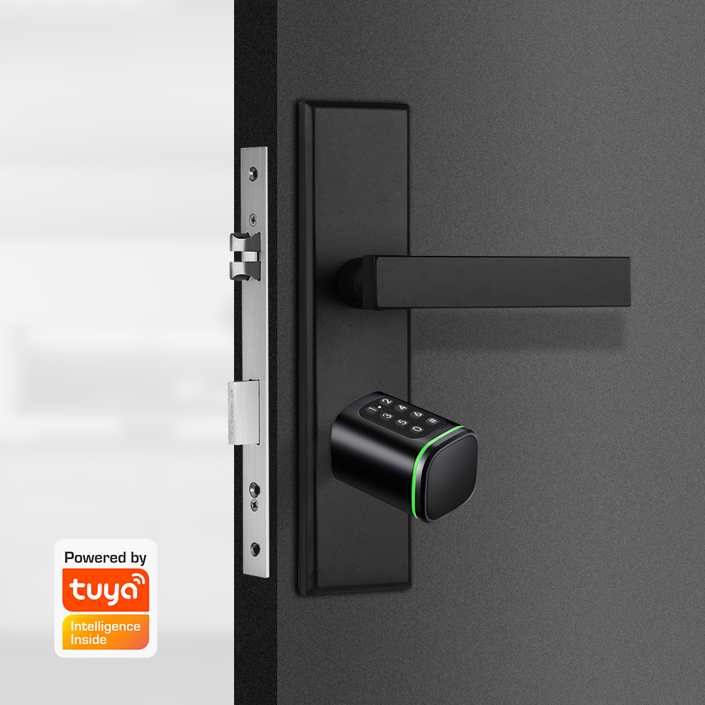 Cerradura de cilindro intelige - Smart Home Website reseña y precio
